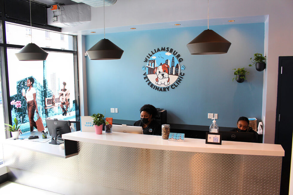 Best Veterinary Hospital in Brooklyn, NY Williamsburg Veterinary Clinic