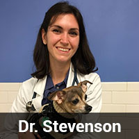 Dr.-Stevenson-img