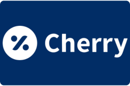 rabbit in the outdoors